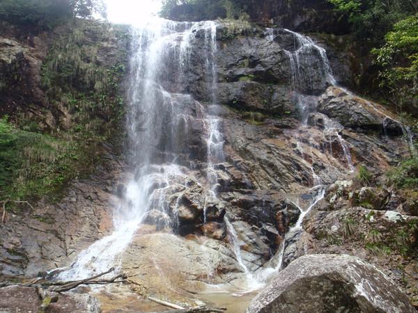 深圳湾一号